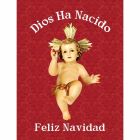 Colgadura para Natal do Menino Jesus | Deus nasceu